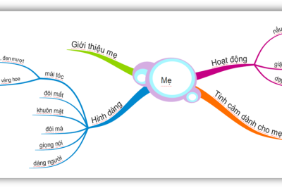 SINH HOẠT CHUYÊN MÔN TỔ 1, 2, 3