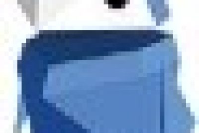 Trò chơi interland